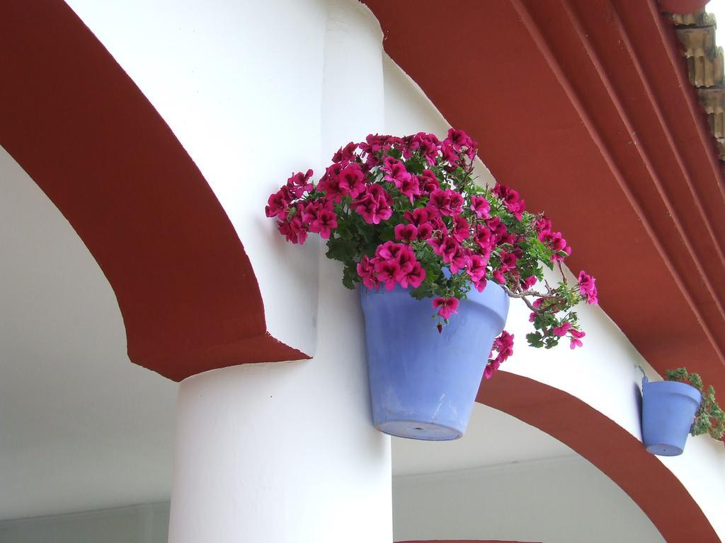 Villa Frasquita Priego De Cordoba Exterior photo